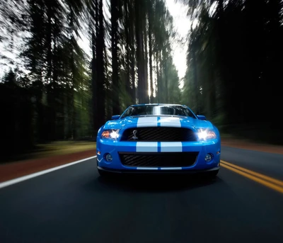 carro, mustang shelby gt500, veículo