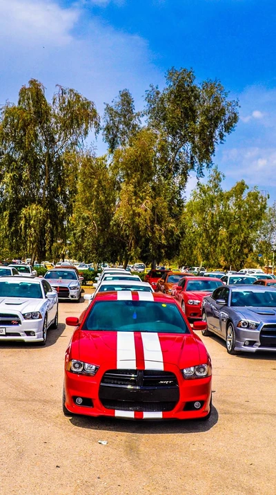 charger, club, dodge, iraq