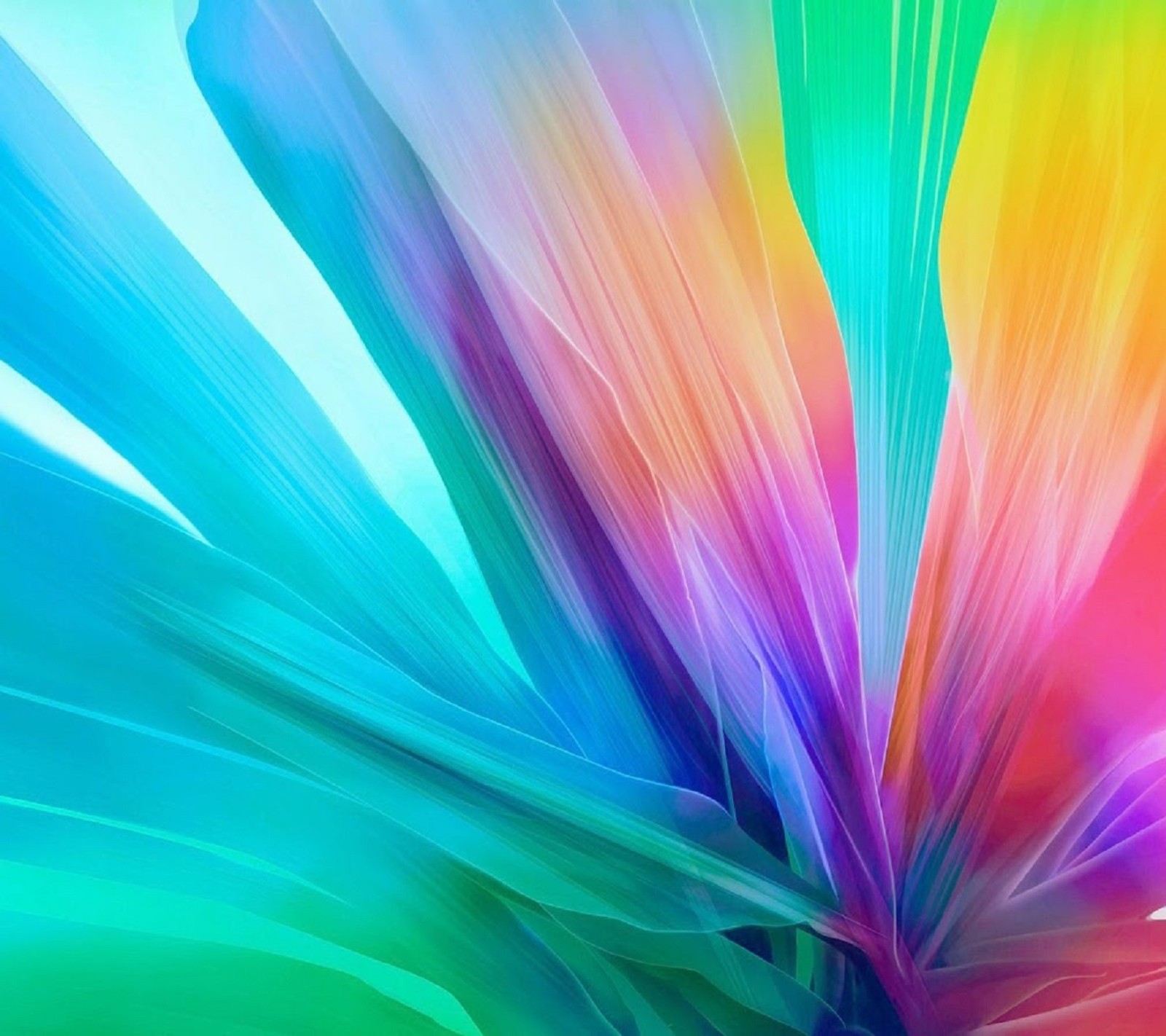 A close up of a colorful flower with a blurry background (color, lg)