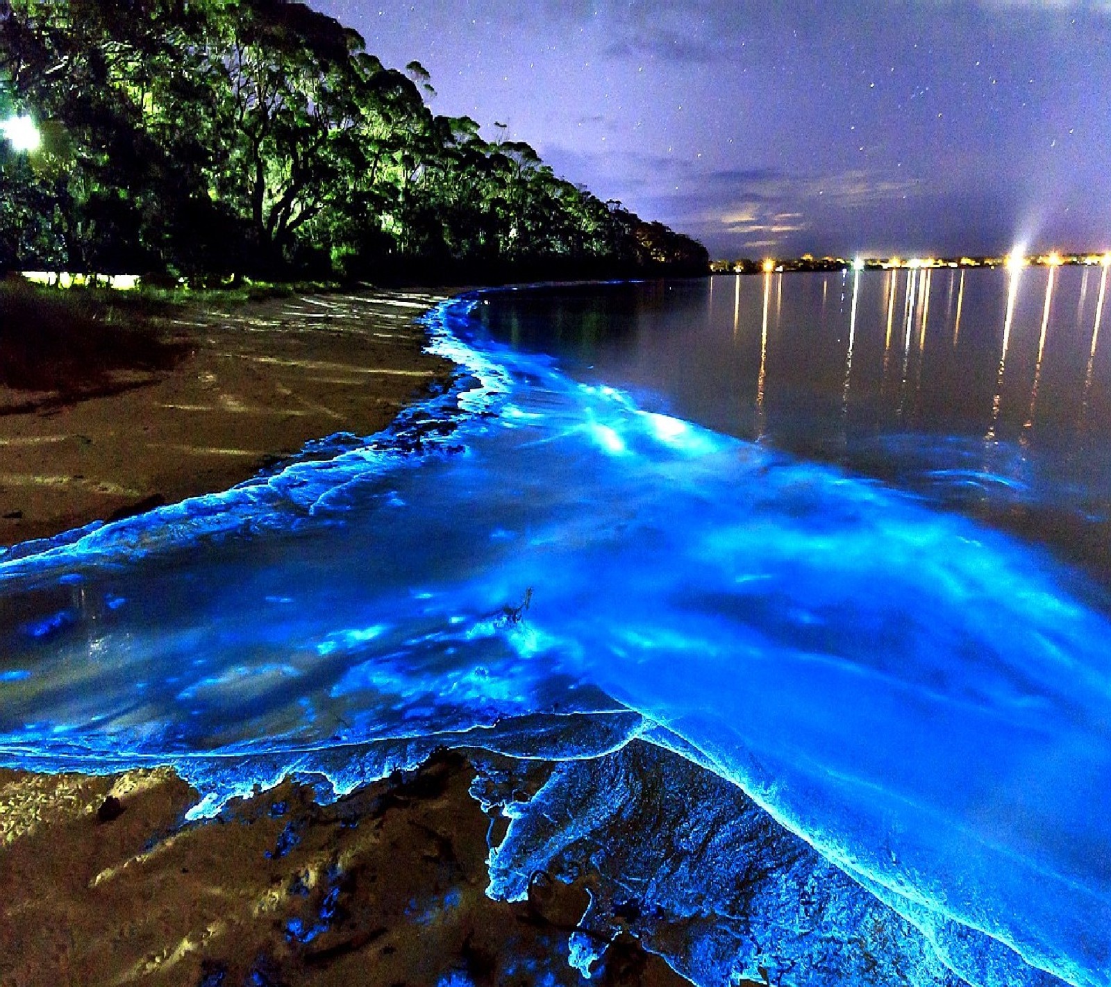 A close up of a body of water with blue algae on it (nature)