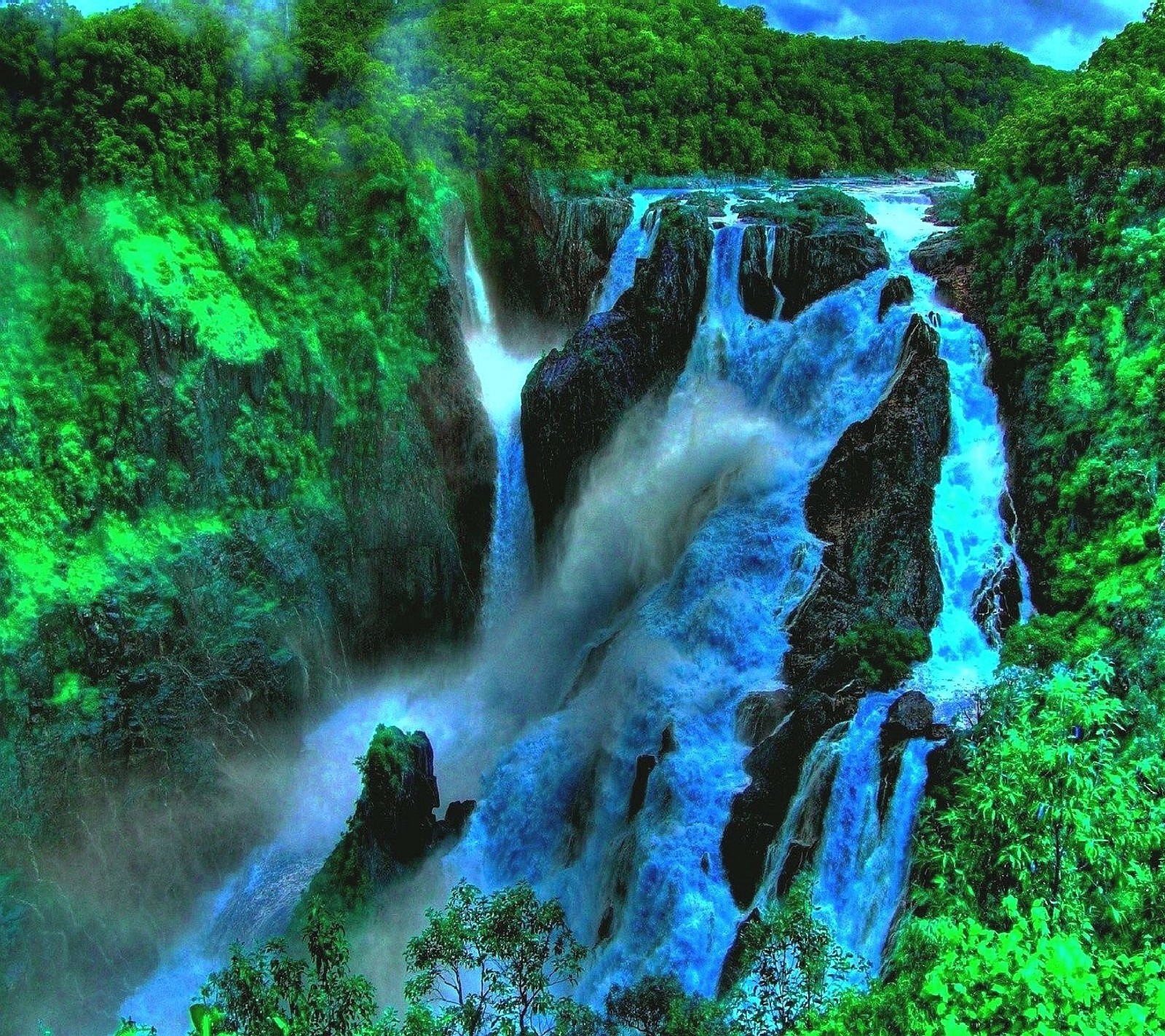 Cascade arafed au milieu d'une forêt verdoyante (nature)