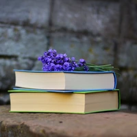 Libros elegantes con acentos de lavanda sobre una superficie texturizada