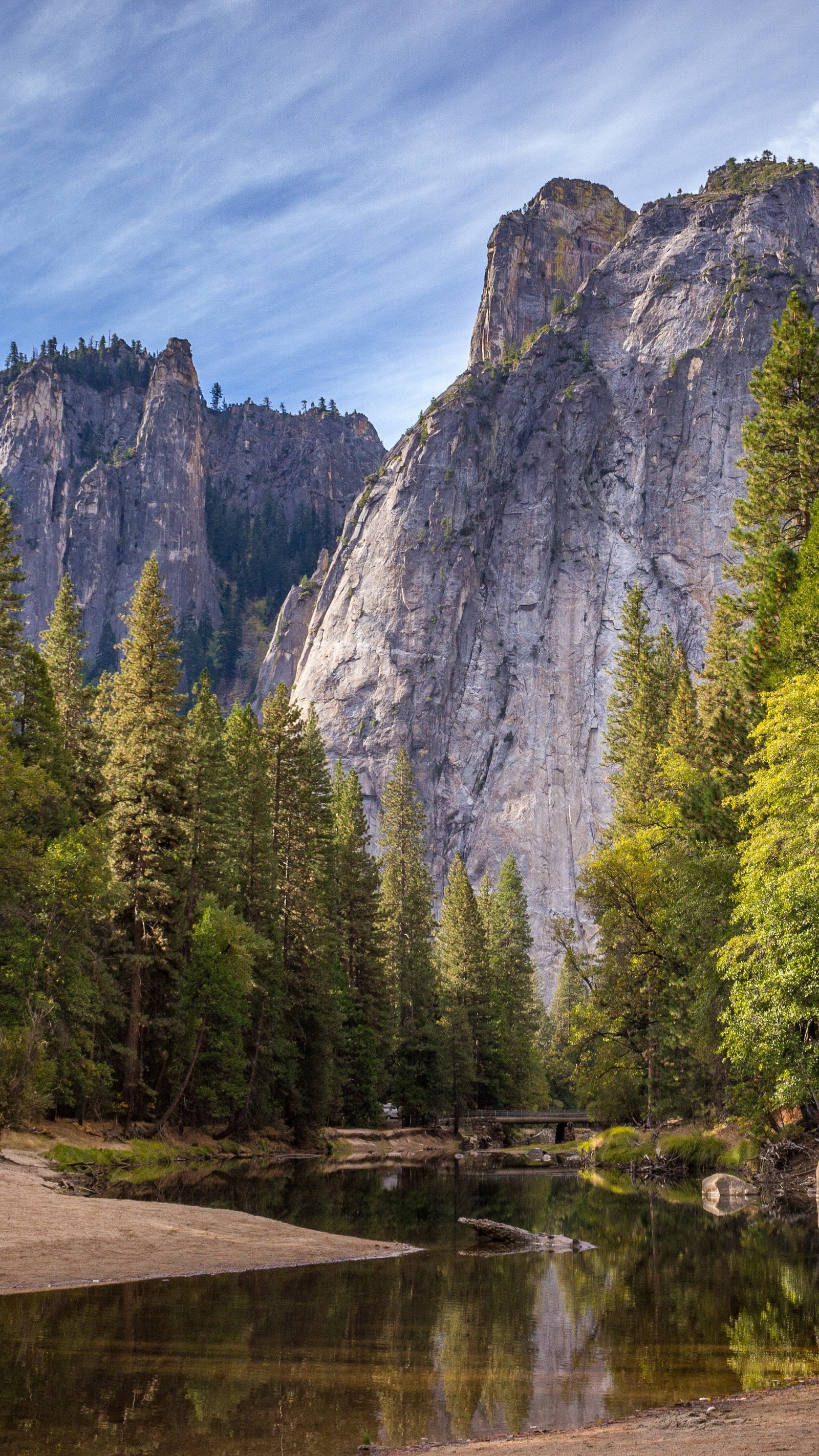 Il y a un petit ruisseau qui traverse une forêt remplie d'arbres (parc national de yosemite, parc national de grand teton, vallée de yosemite, yosemite valley, demi dôme)