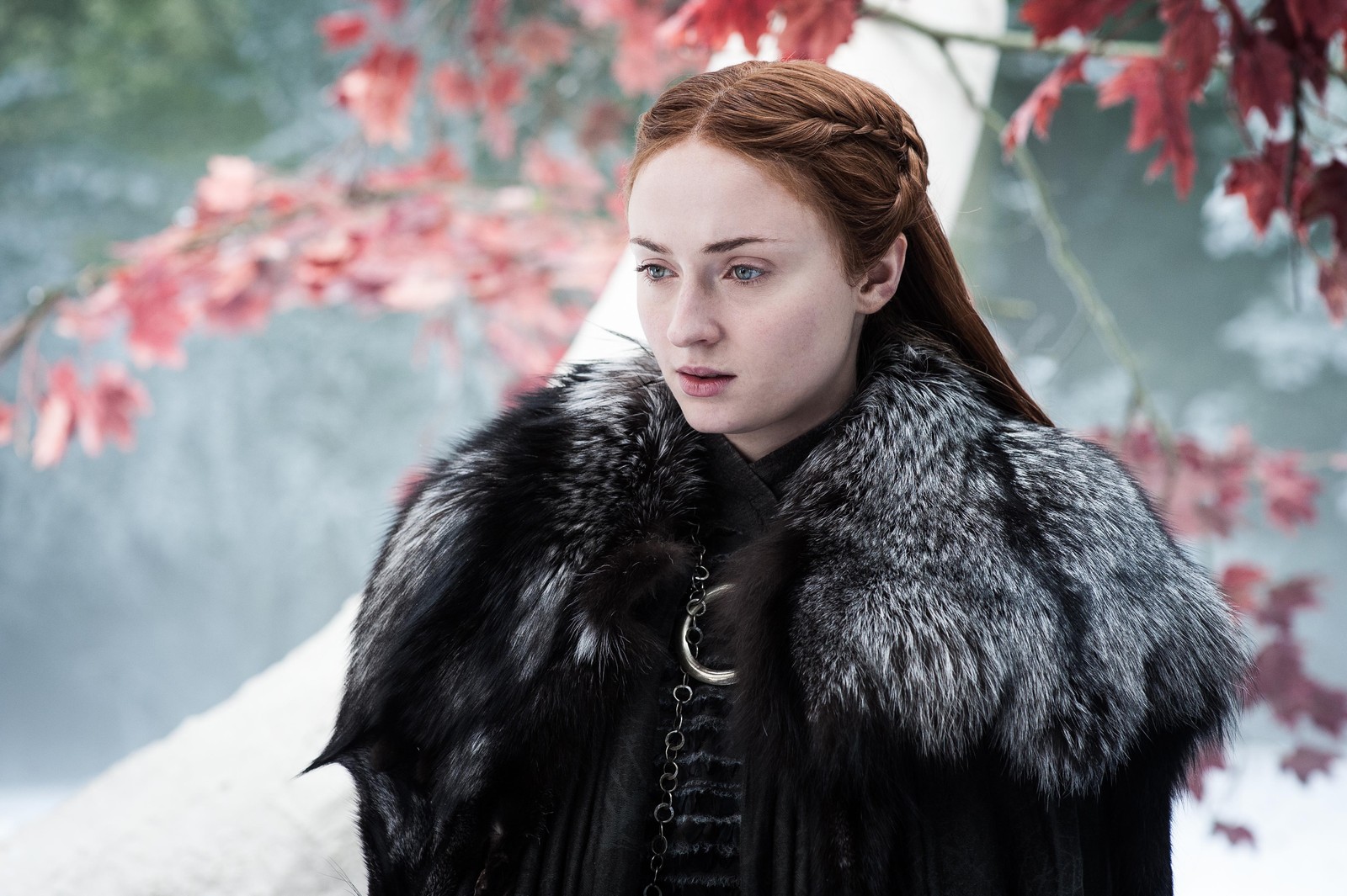 Une femme en manteau de fourrure se tient devant un arbre (sophie turner, sansa stark, game of thrones, gens, fond décran 4k)