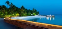 beach, island, resort, swimming pool, tropics