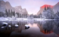 reflection, nature, winter, freezing, wilderness wallpaper