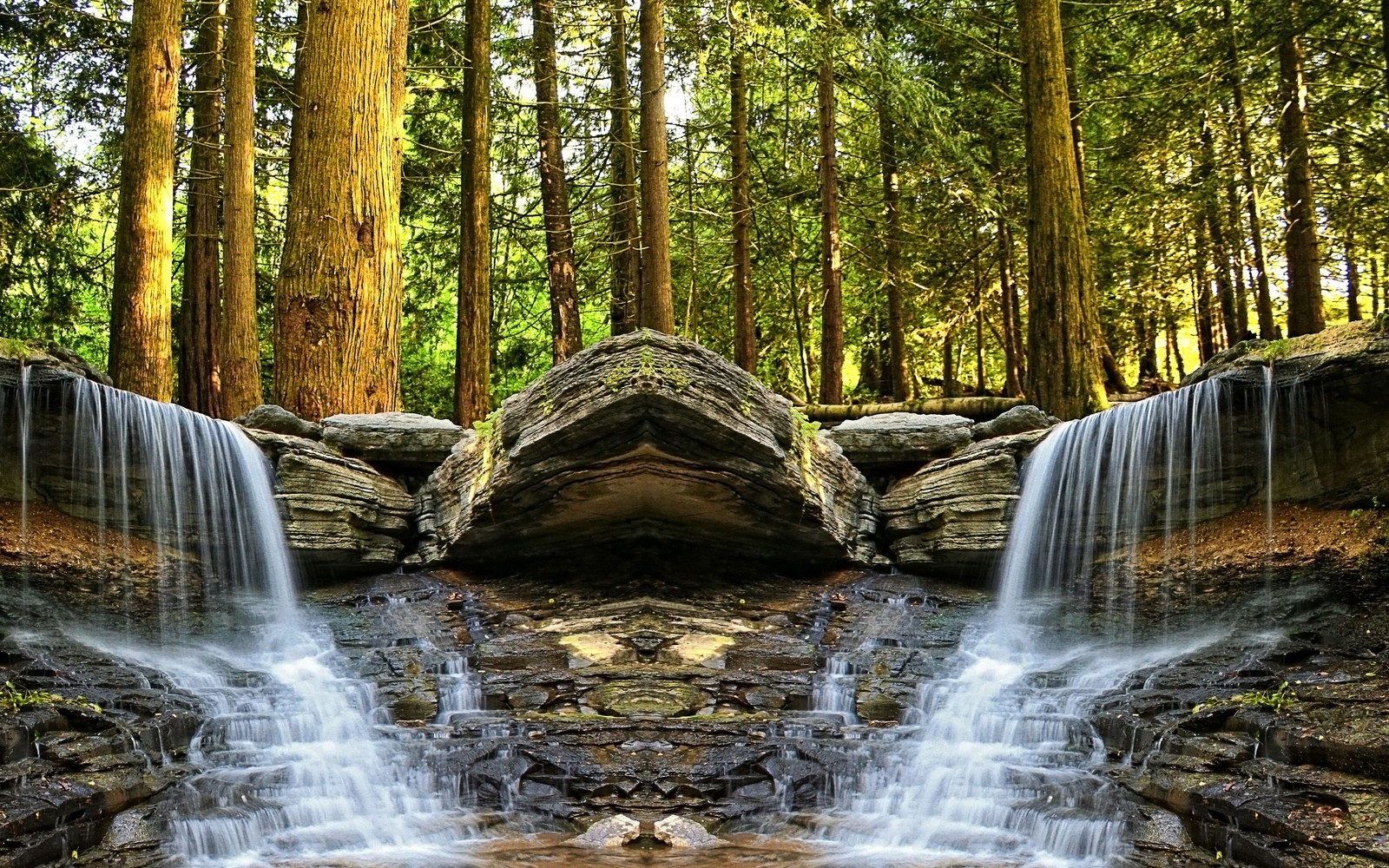 Cascada en el bosque con rocas y árboles de fondo (cascada, cuerpo de agua, naturaleza, agua, reserva natural)