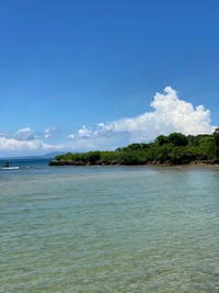 Ruhige Küstenlinie mit üppiger grüner Insel und klarem blauen Wasser