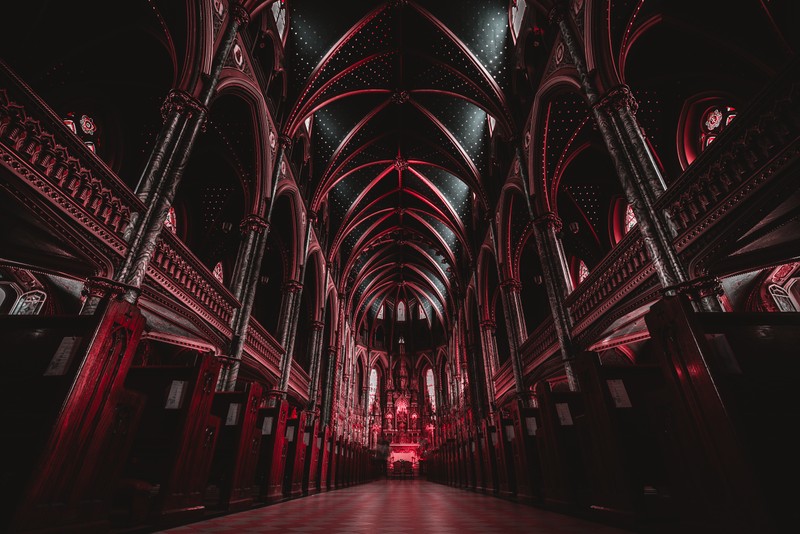 Красный свет светит в центре собора. (notre dame cathedral basilica, ottawa, канада, историческая достопримечательность, религия)