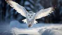 Majestic White Owl in Flight Over a Snowy Landscape