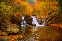 herbst, gewässer, natur, wasserfall, bach