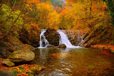 outono, corpo de água, natureza, cachoeira, riacho