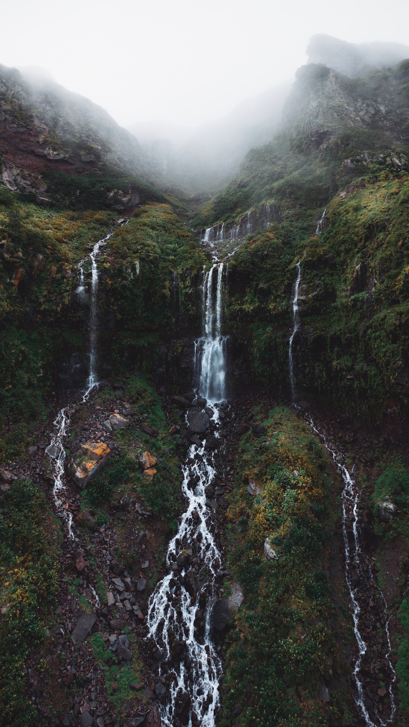 Водопад, который течет с холма (водопад, вода, гора, водные ресурсы, растение)