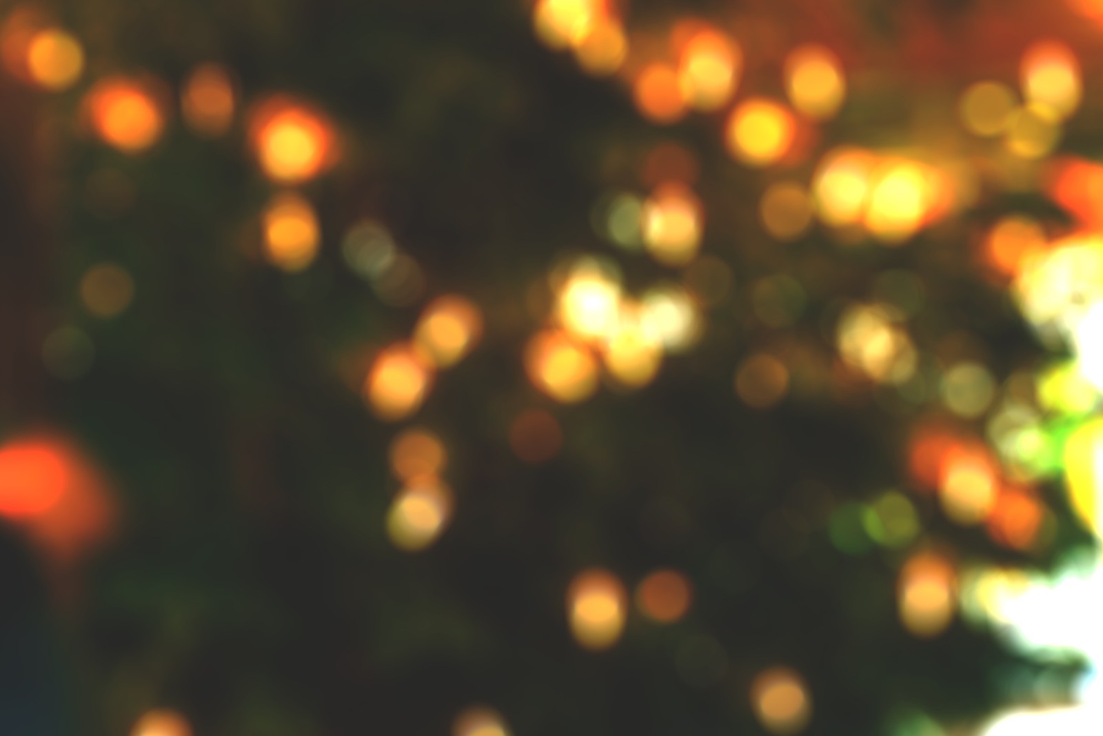 Uma imagem borrada de uma árvore com laranjas ao fundo (bokeh, dia de natal, luzes de natal, luz, iluminação)