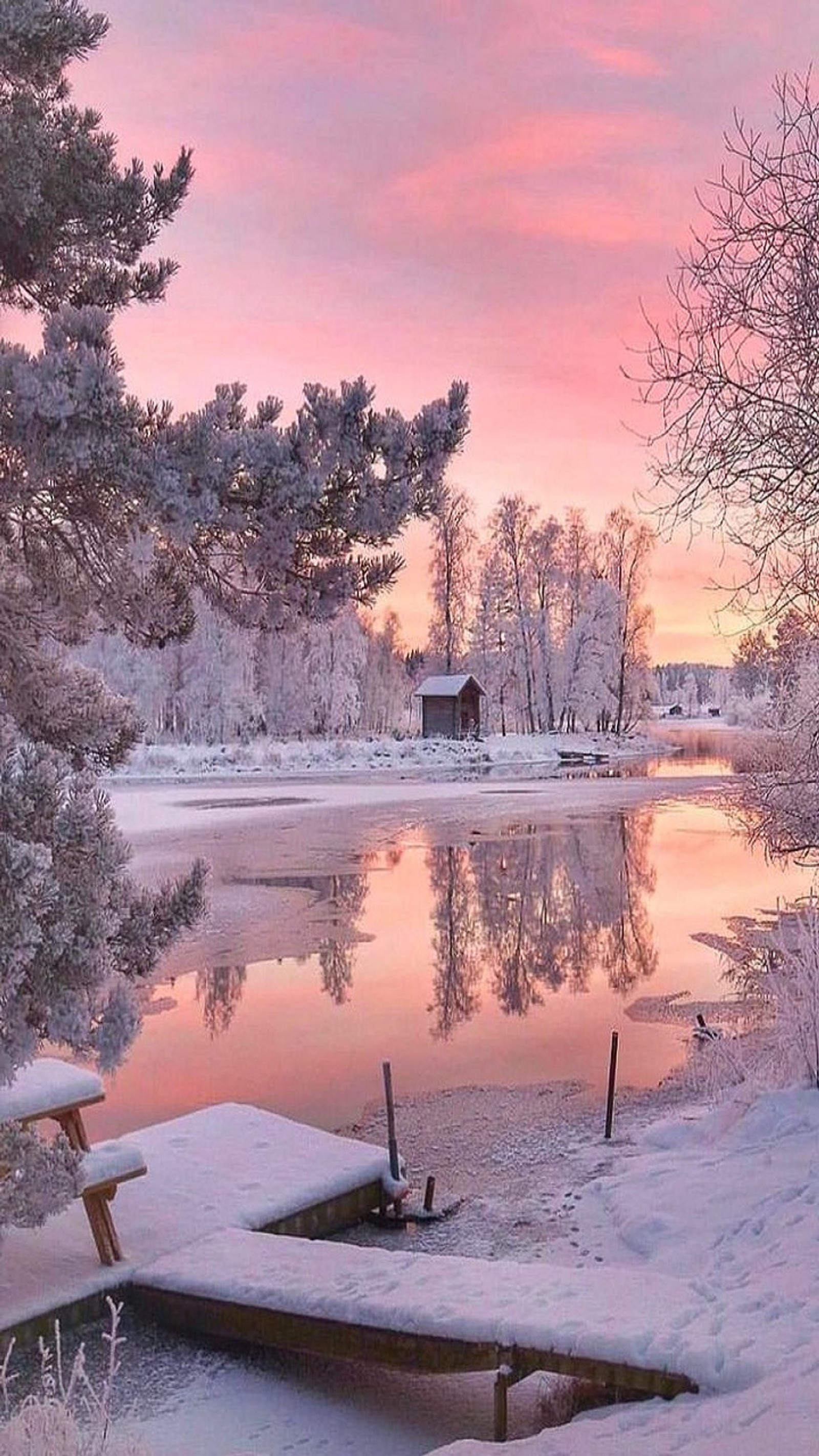 Scène enneigée d'un lac avec un quai et un banc dans la neige (lac, neige, arbre, hiver)