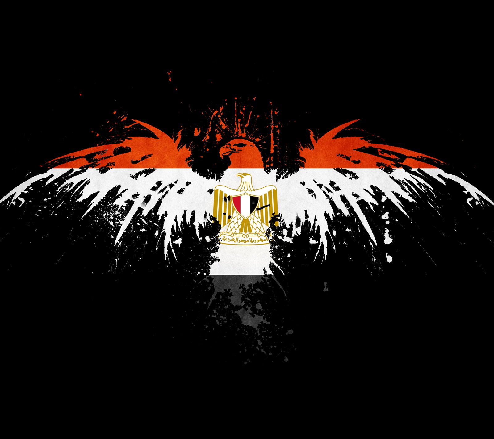 A close up of a bird with wings on a black background (egypt, flag)