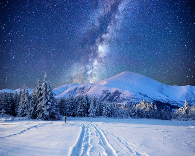 Noche estrellada de invierno sobre montañas cubiertas de nieve