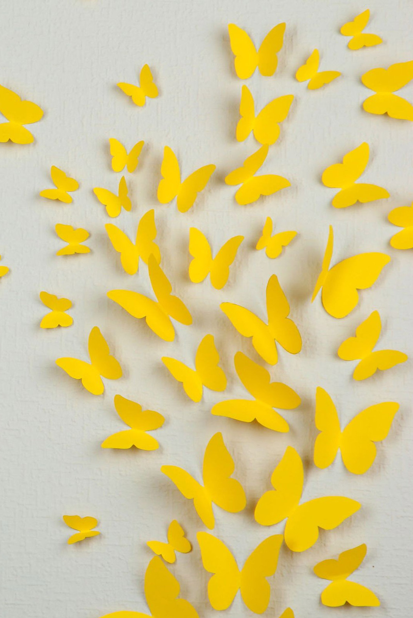 Yellow butterflies are scattered on a white surface and a white background (abstract, butterflies, nature, yellow)