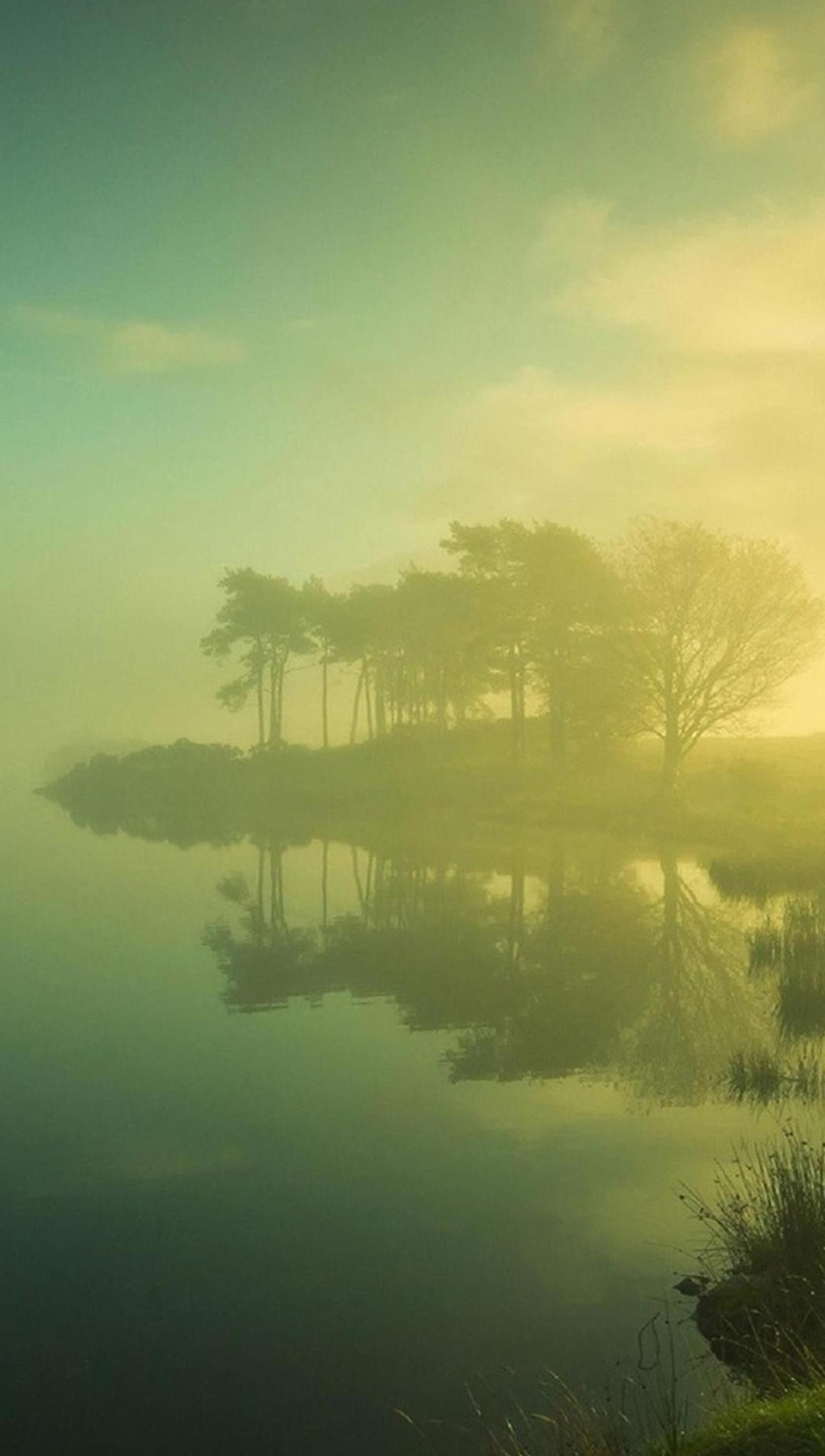 Há um barco que está na água na neblina (névoa, natureza, árvores)