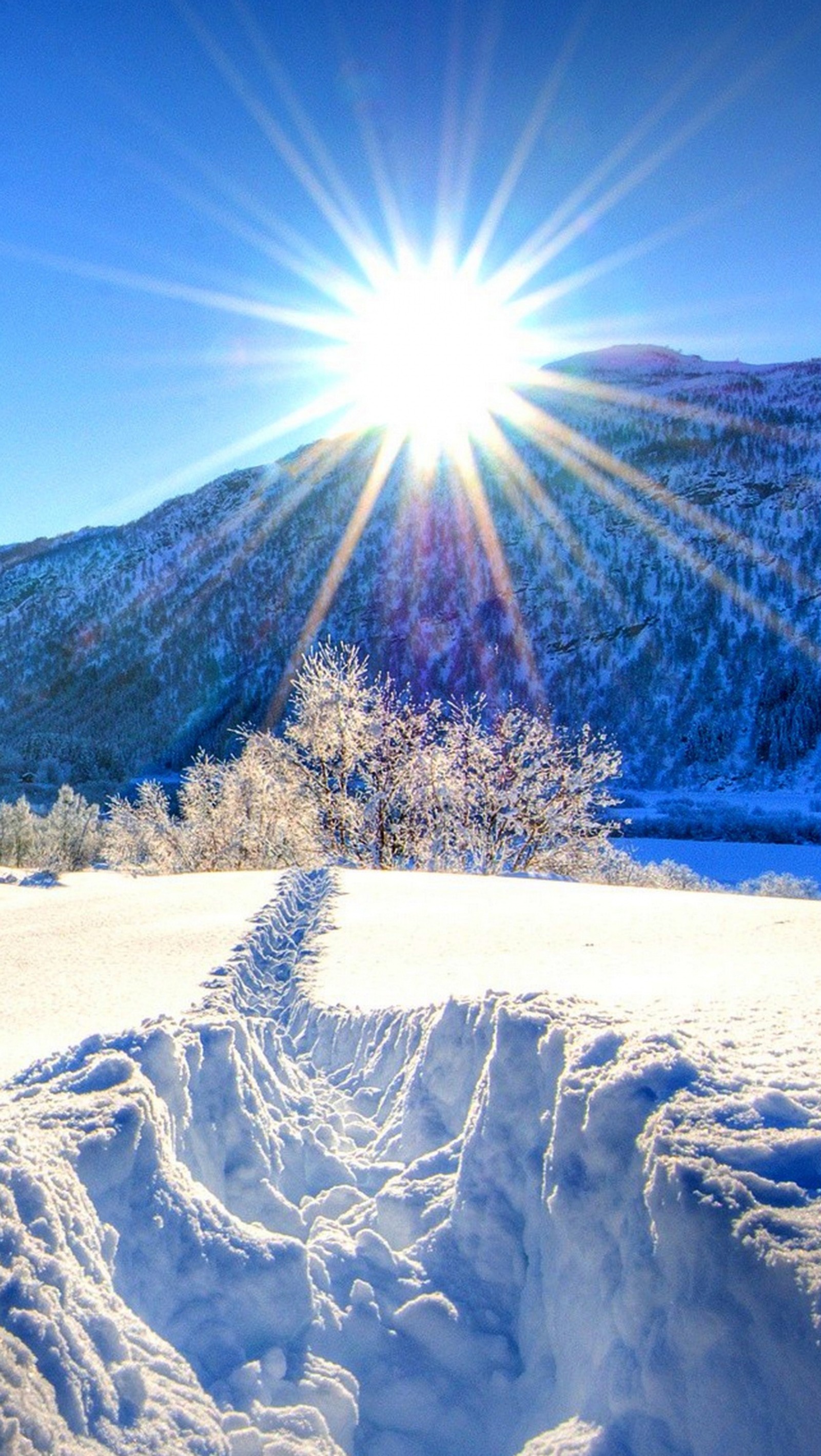 Lade morgendämmerung, wald, natur Hintergrund herunter