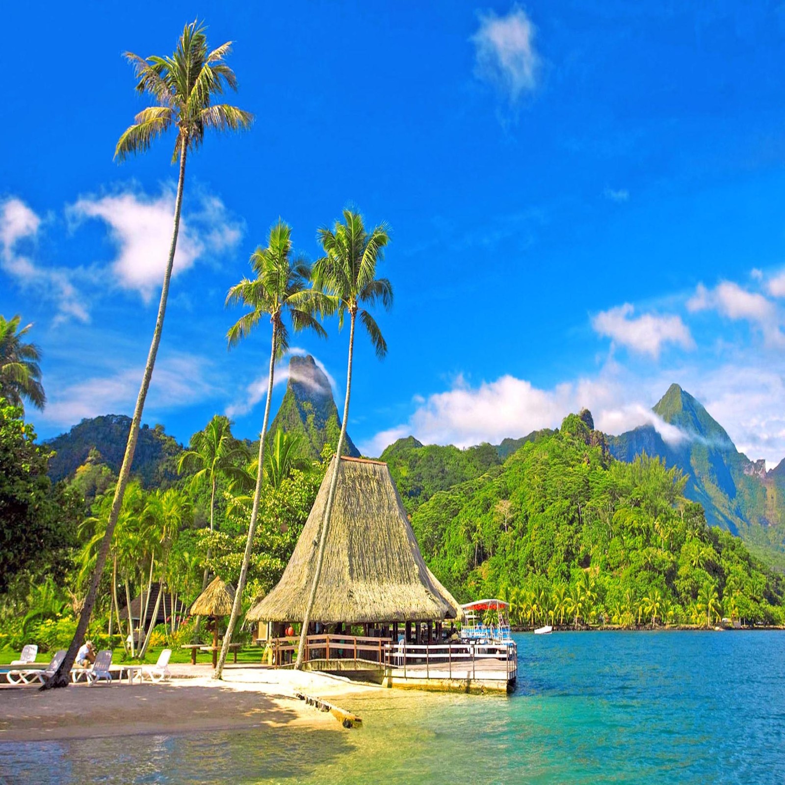 Arafed hut on a beach with palm trees and a mountain in the background (beautiful, cute, look, nice)