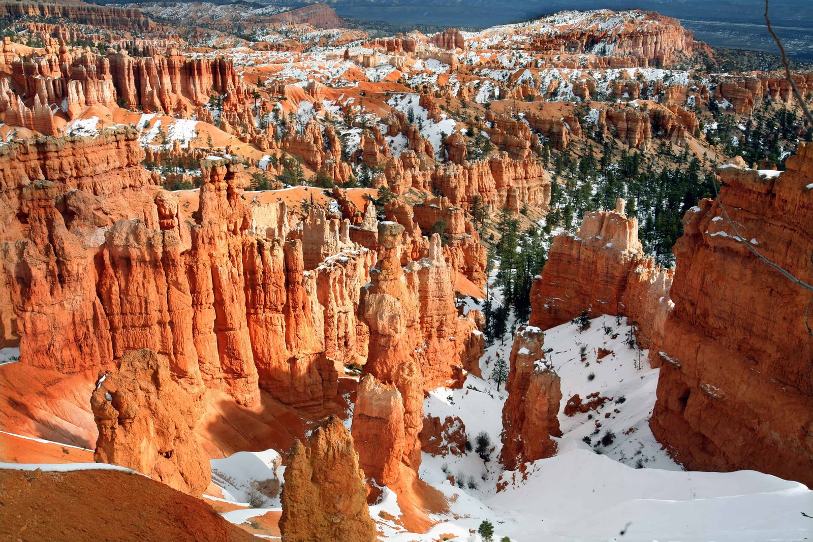 Araffe canyon in the winter with snow on the ground (bryce canyon national park, bryce canyon city, national park, canyon, park)