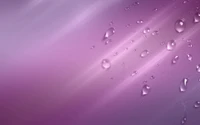 Fotografía macro de gotas de agua sobre un fondo violeta