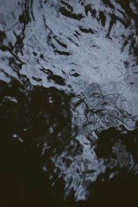 Monochrome Reflections on a Fluid Surface