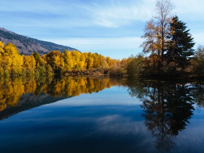 Reflexão de outono: lago sereno cercado por árvores de lariço na República do Altai