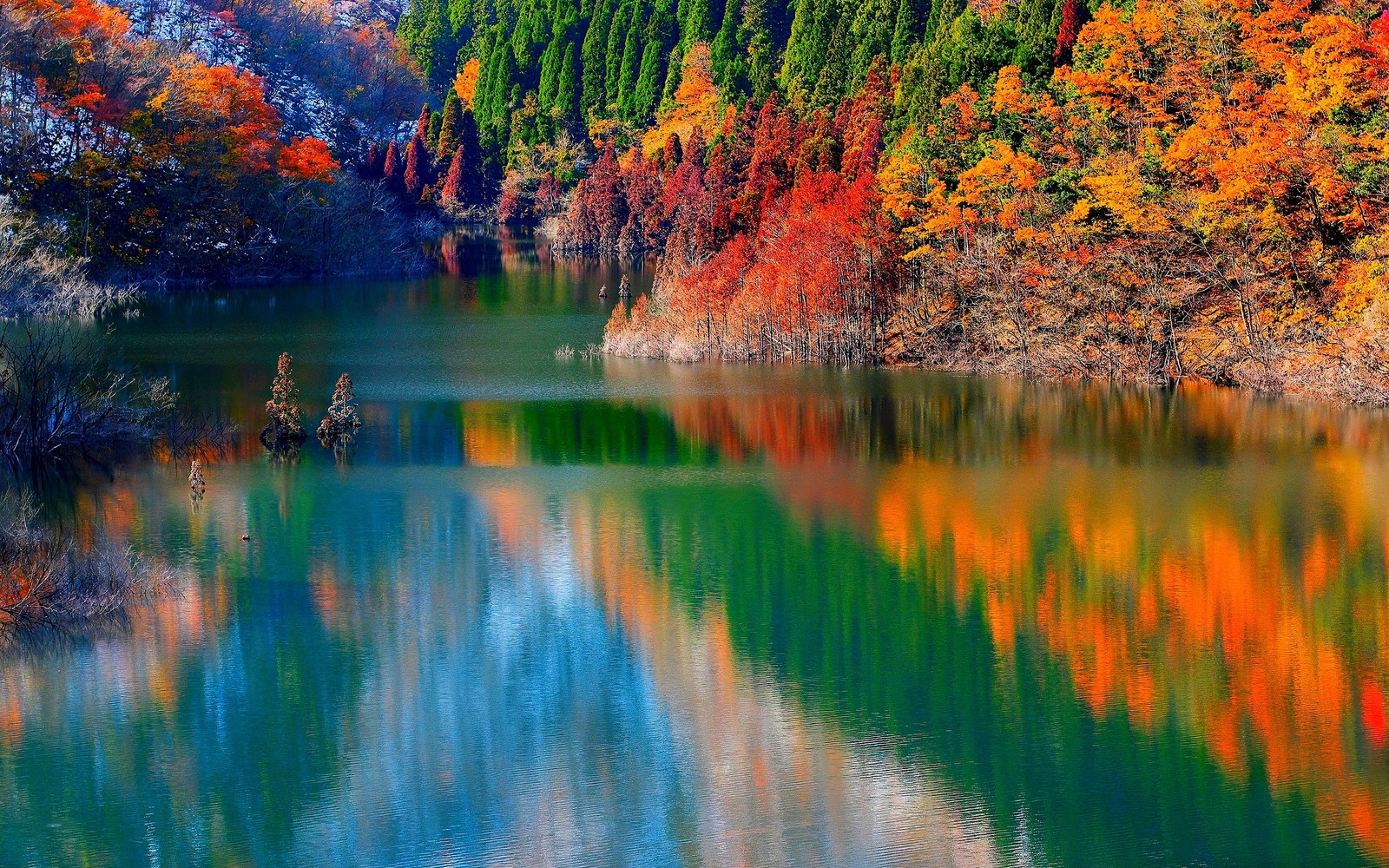 Ein fluss mit bäumen und wasser in der mitte (herbst, baum, reflexion, natur, blatt)