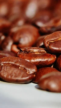 Primer plano de granos de café robusta de color marrón rico, que muestran su textura brillante y dulzura natural.