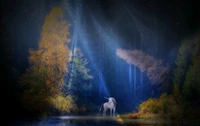 unicorn, fairy tale, mythical, light beam, forest