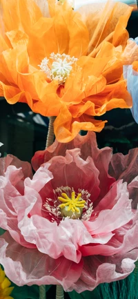 flower, plant, petal, orange, yellow wallpaper