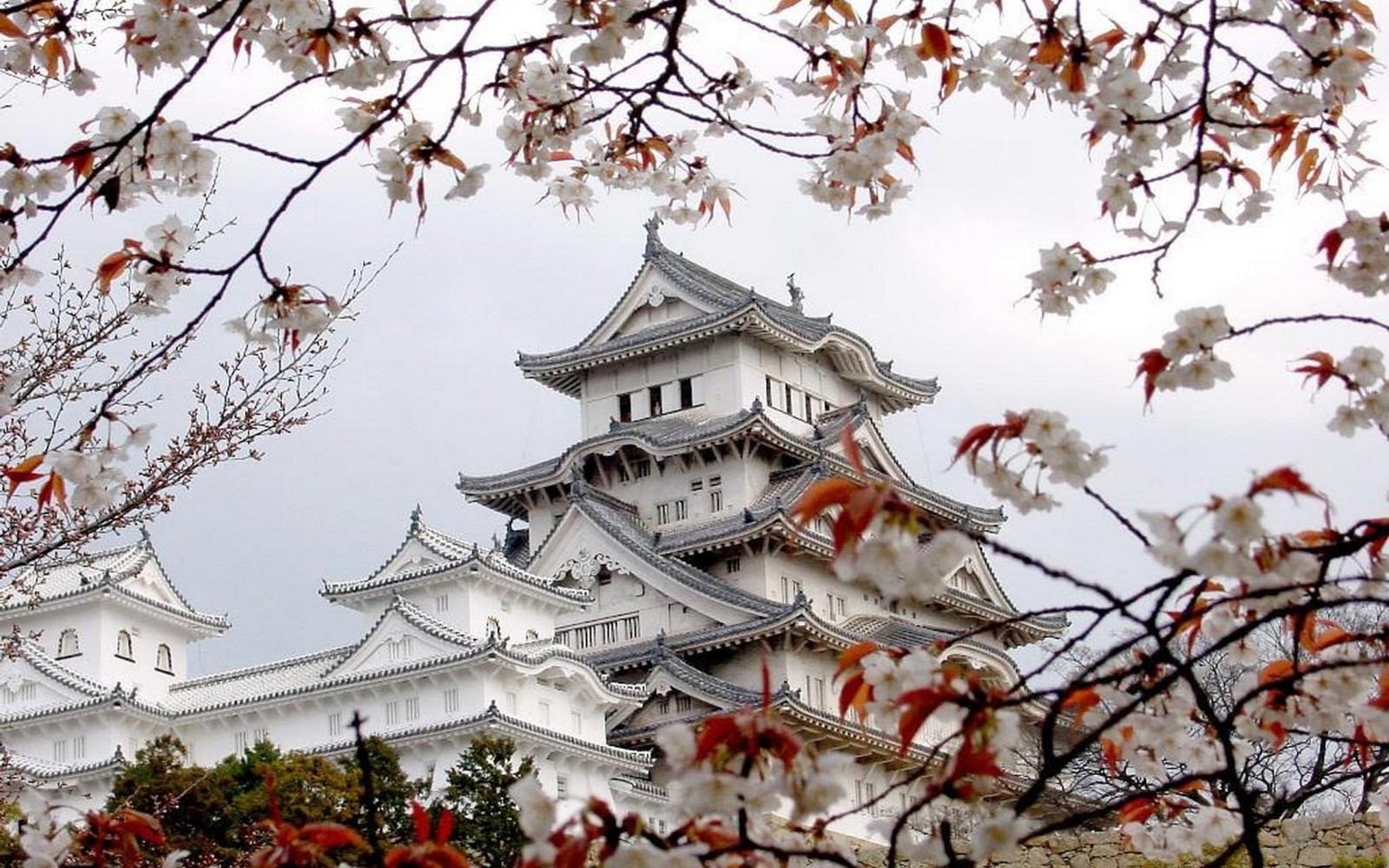 Panoramablick auf ein schloss mit vielen blumen davor (japanische kunst, baum, pflanze, zweig, japanische architektur)