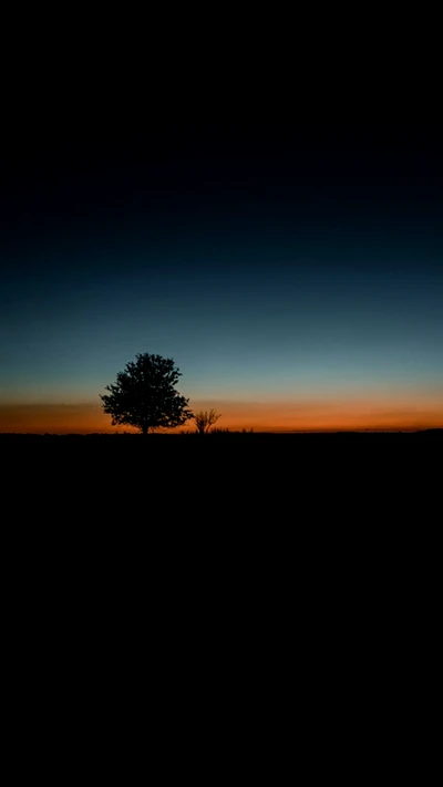 atmosphäre, nachglühen, natürliche landschaft, pflanze, sonnenaufgang