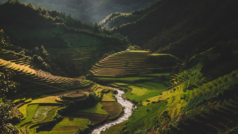 Вид на долину с рекой, протекающей через нее (terraced field, гора, горы, пейзаж)