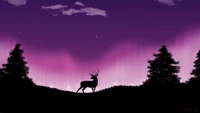 deer, night, scenery, minimalist, minimalism wallpaper