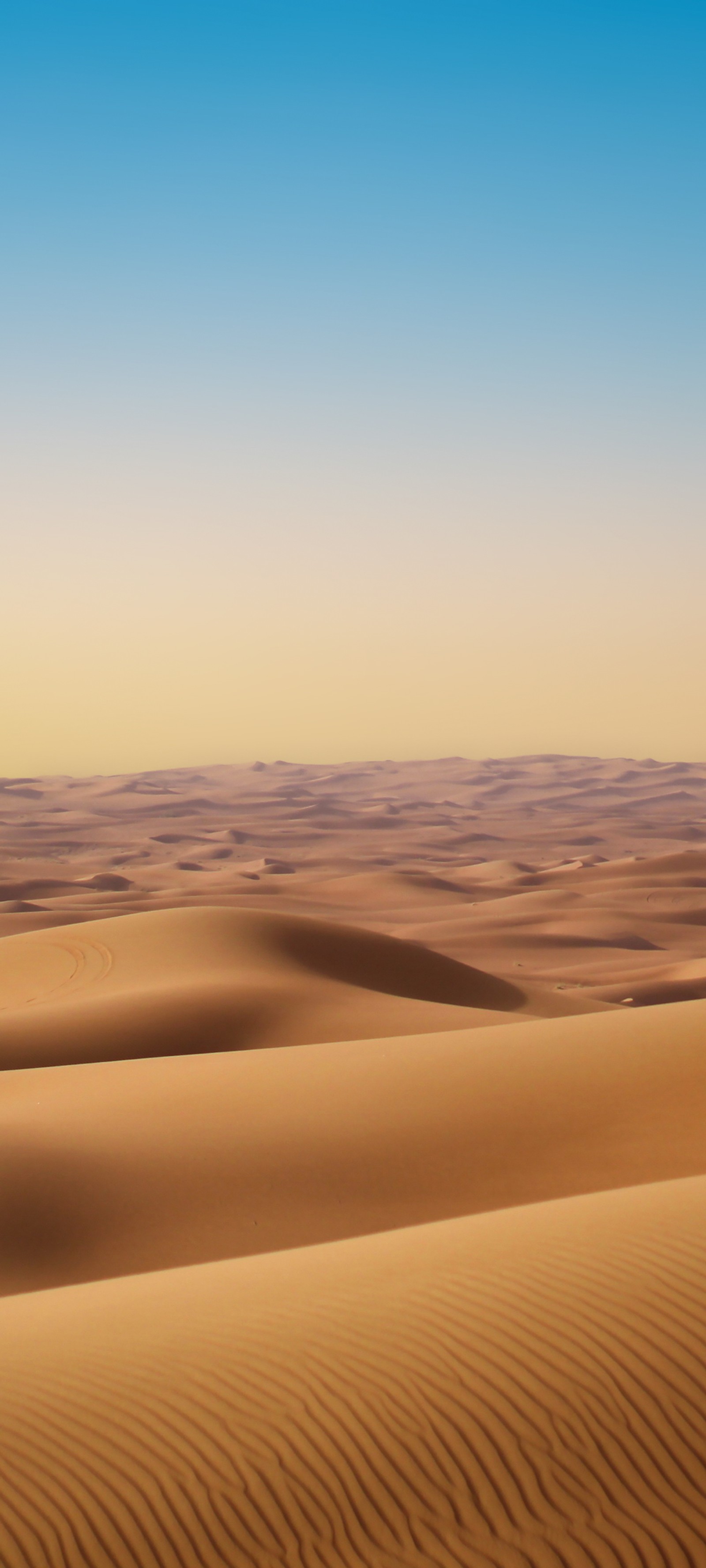 Giraffen gehen in der wüste mit einem himmel im hintergrund (erg, singender sand, atmosphäre, sonnenlicht, dämmerung)