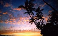 Tropical Sunset Over Palm-Fringed Horizon