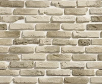 Limestone Brick Wall Texture and Panelling