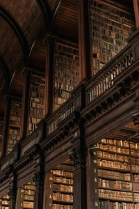 Fachada de madeira simétrica de uma grande biblioteca com livros empilhados