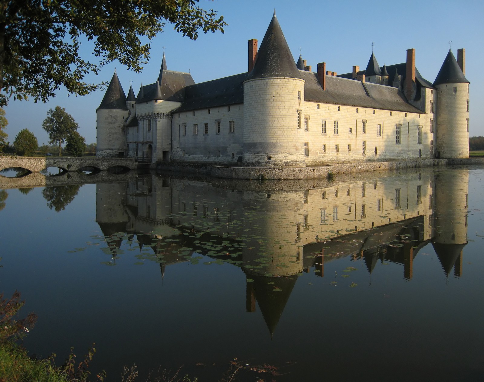 Eine burg mit einem wassergraben und einer brücke davor (burg, reflexion, wasserschloss, wasserstraße, graben)