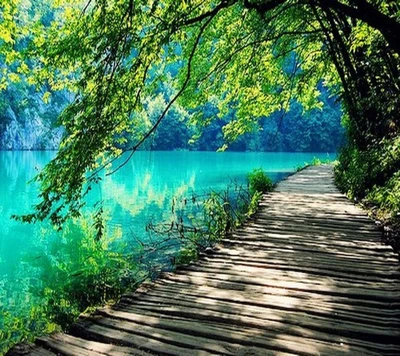 Caminho deslumbrante à beira de um lago sereno em meio à beleza da natureza