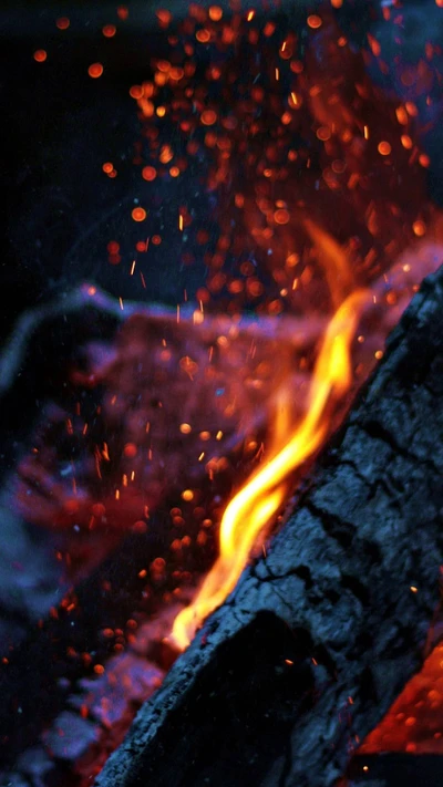 Étincelles Enflammées : La Danse des Flammes et des Cendres