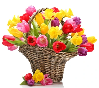 Colorful Spring Tulip Basket Arrangement