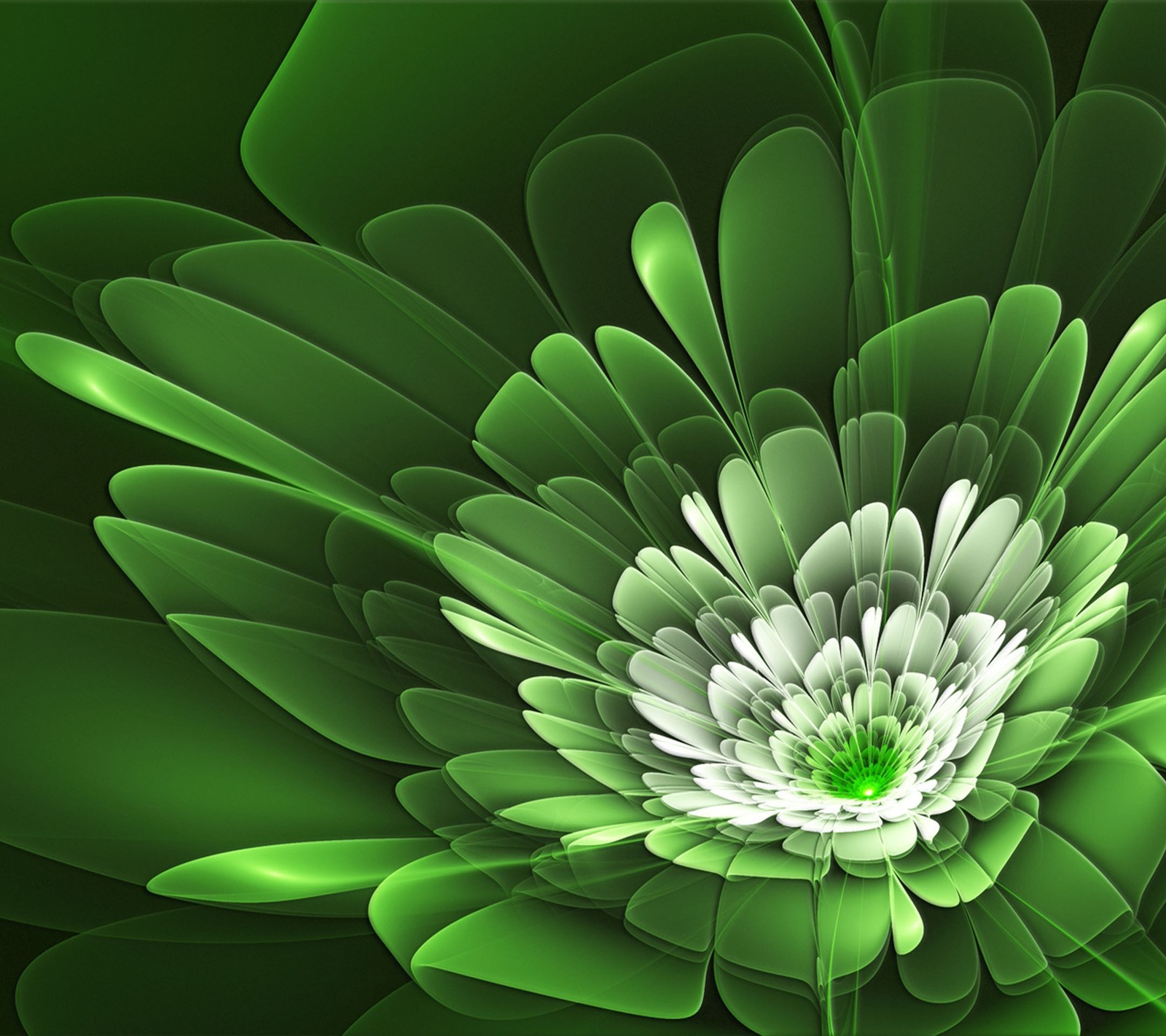 A close up of a green flower with a white center (flower, green)