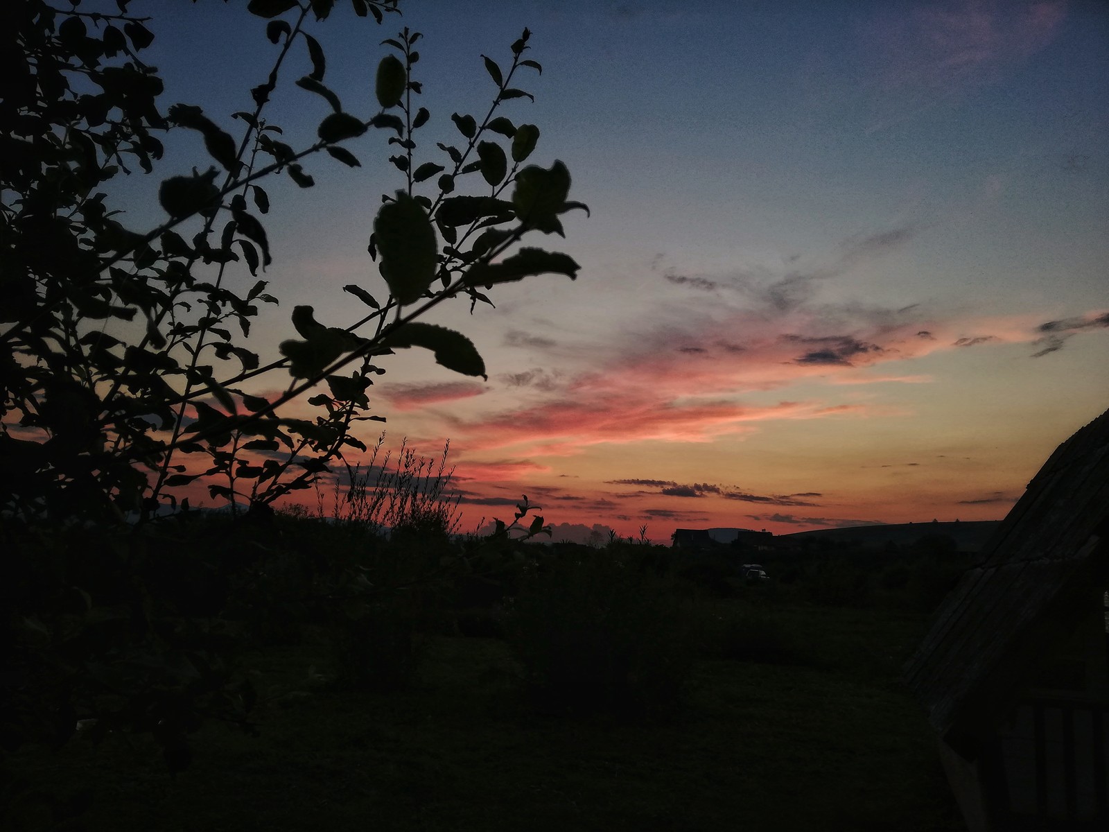 Sunset over a field with a tree and a bench in the foreground (sun, end, day, old, tumblr)