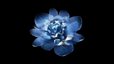 abstrakte blume, metallisch, amoled, schwarzer hintergrund, aktie