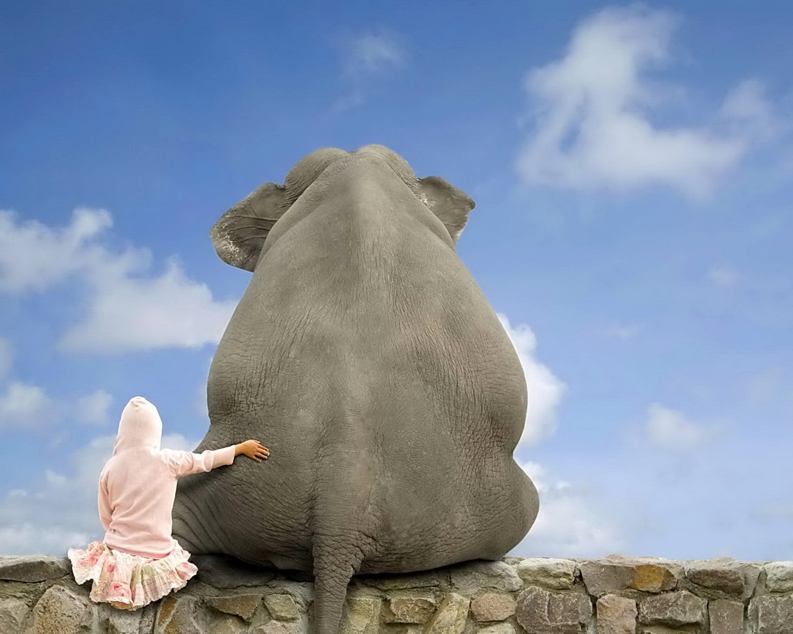 There is a woman sitting on a stone wall with an elephant (elephant, friends, funny)