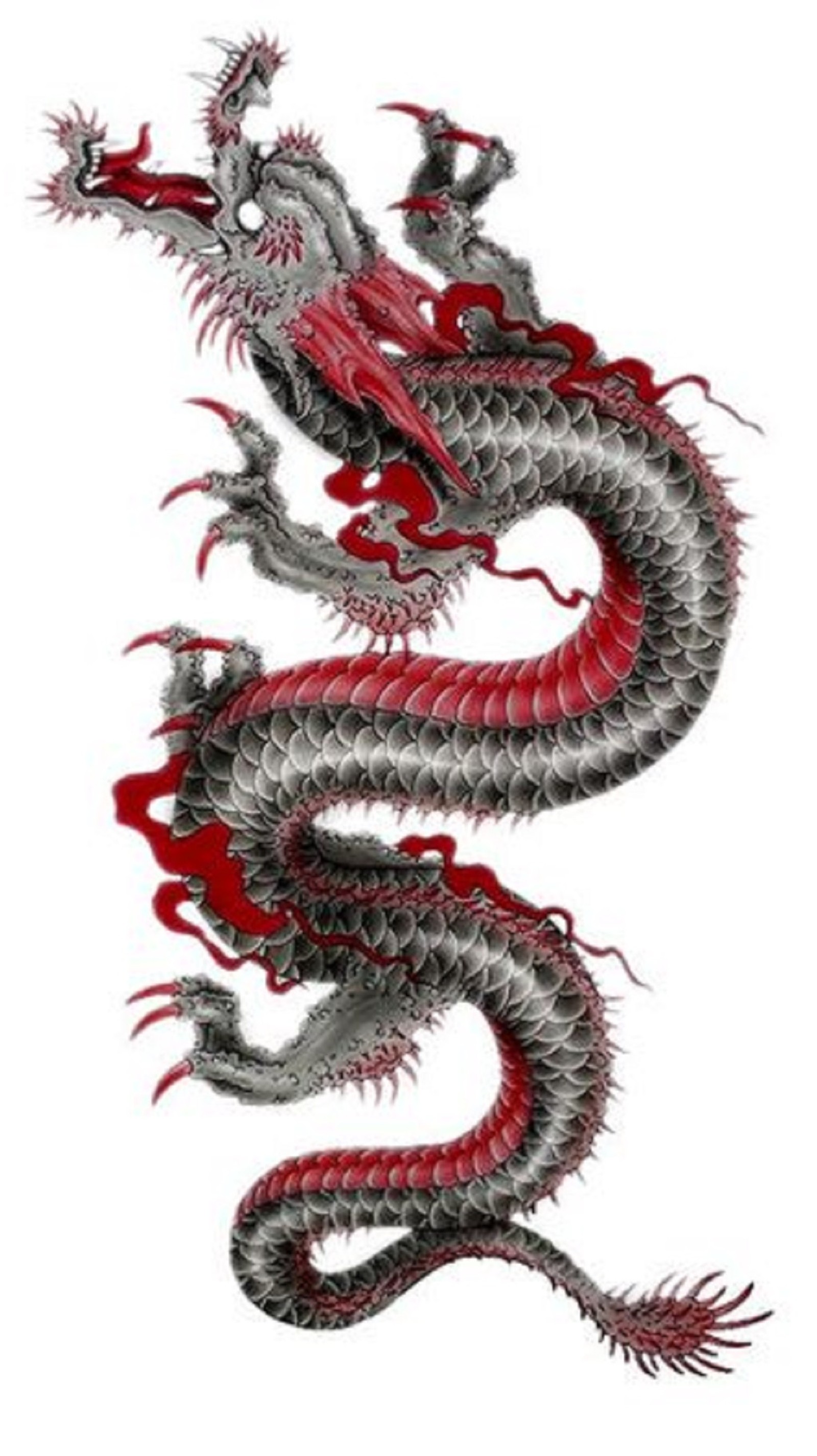 Un tatouage de dragon rouge et noir sur fond blanc (dragon, autre)